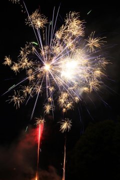 t_IMG_5410.jpg